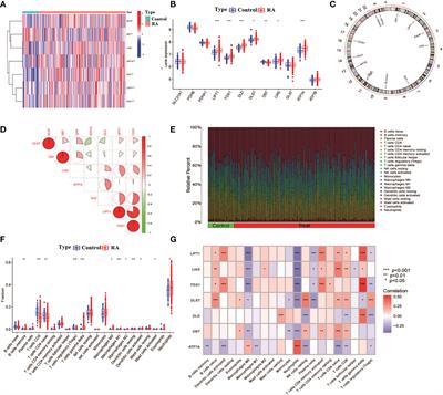 Identification of copper death-associated molecular clusters and immunological profiles in rheumatoid arthritis